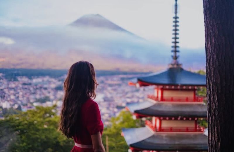 Mt. Fuji & Hakone Full-Day Customizable Private Tour - What the price buys, and what to check