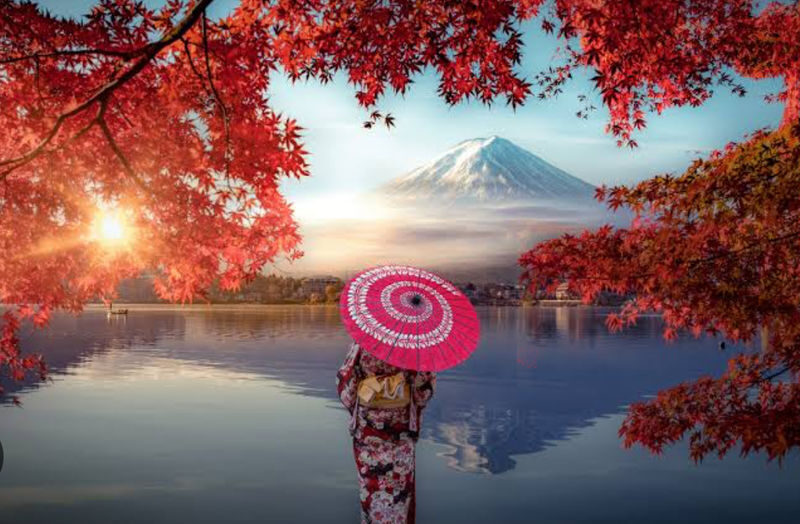 Mt. Fuji & Hakone Full-Day Customizable Private Tour - Who will get the most from this tour