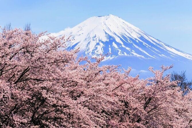 Mt. Fuji, Hakone Full-Day Private Tour with English Driver - Key Points