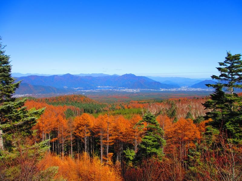 Mt.Fuji & Hakone & Gotemba premium Outlets From Tokyo - Guides, timing and the realities of a coach tour