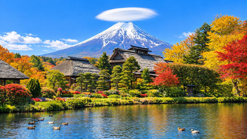 Mt. Fuji & Hakone Highlights Day Tour: Lake Ashi Pirate Ship + Togendai-Owakudani Ropeway - Small Group / Private Charter / Comfortable Coach (Multiple Options Available) - Price, pace, and the real value