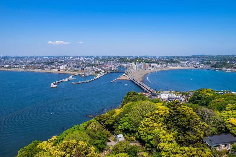Mt. Fuji, Hakone, Kamakura, and Enoshima Day Trip: Lake Ashi Pirate Ship Cruise & Mt. Fuji and Owakudani Views by Ropeway & Enoshima Scenic Views and Gourmet Food (Departure from Tokyo/Shinjuku) - What the price does and does not cover