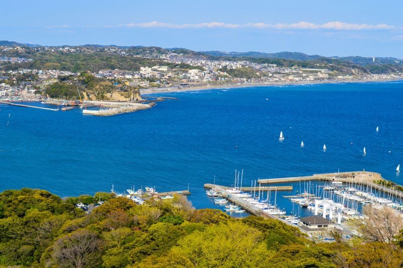 Mt. Fuji, Hakone, Kamakura, and Enoshima Day Trip: Lake Ashi Pirate Ship Cruise & Mt. Fuji and Owakudani Views by Ropeway & Enoshima Scenic Views and Gourmet Food (Departure from Tokyo/Shinjuku) - Who should book this day trip?