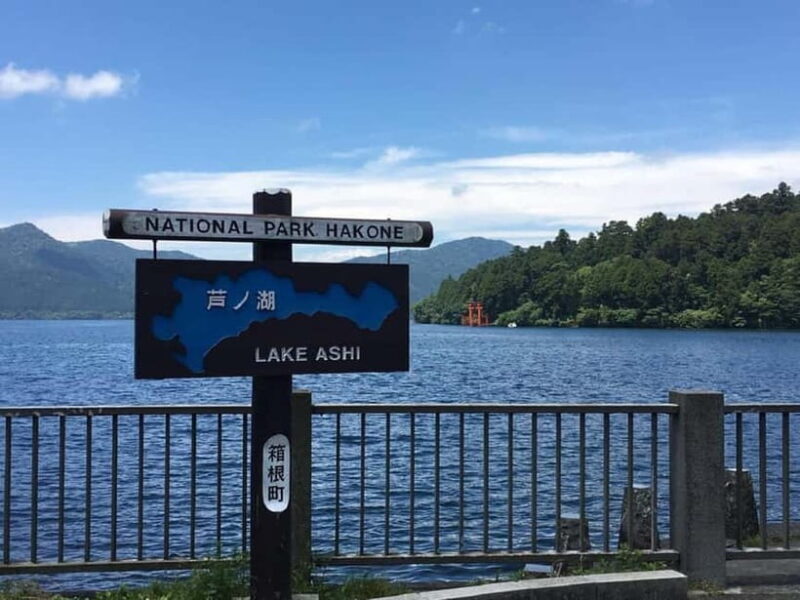 Mt Fuji Hakone/Kamakura Tour: FREE Ropeway& Lake Ashi Cruise - Who Is This Tour Best For?