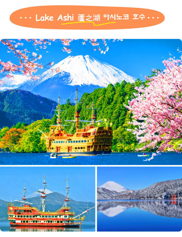 Mt. Fuji & Hakone | Lake Ashi Floating Torii Gate, Lake Yamanaka, & Owakudani "Land, Sea, and Air" Exploration Tour (Complimentary Hakone Ropeway) | Departing from Tokyo/Shinjuku - Lake Yamanaka’s swans and a Fuji photo stop