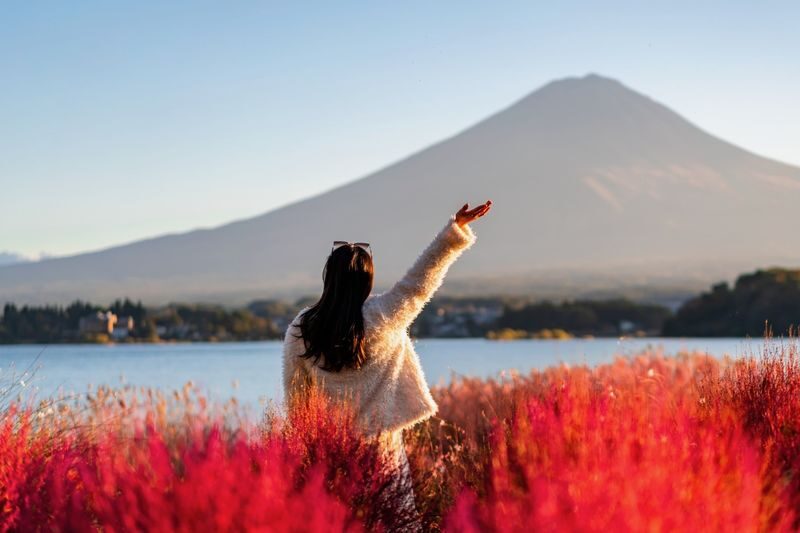 Mt. Fuji & Hakone Private Day Tour with English-Speaking Driver - What the private day trip actually offers