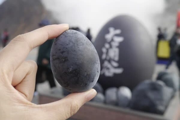 Mt. Fuji & Hakone Private Day Tour with English-Speaking Driver - Lake Ashi and Hakone Shrine