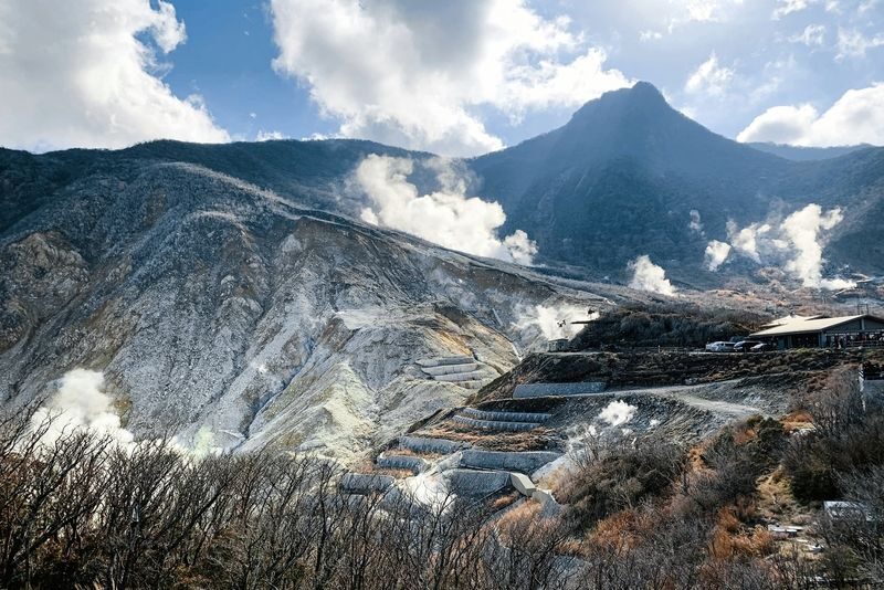Mt. Fuji & Hakone Private Day Tour with English-Speaking Driver - The Open-Air Museum and Gotemba Outlets