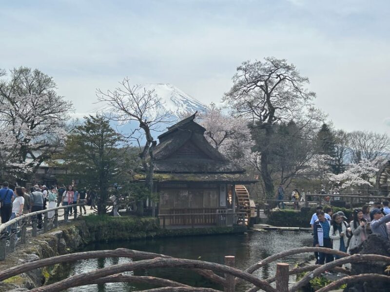 Mt. Fuji & Hakone Private Tour T/F Tokyo, Yokohama up to 12 - Exploring the Mt. Fuji & Hakone Private Tour