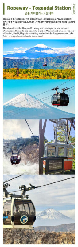 Mt. Fuji, Hakone Ropeway, Lake Ashi, Owakudani day tour - Lake Yamanaka and the swans at Shiratori-hama