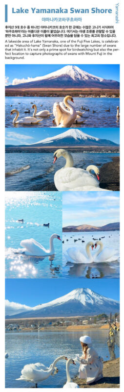 Mt. Fuji, Hakone Ropeway, Lake Ashi, Owakudani day tour - What the tour costs, and what the price buys