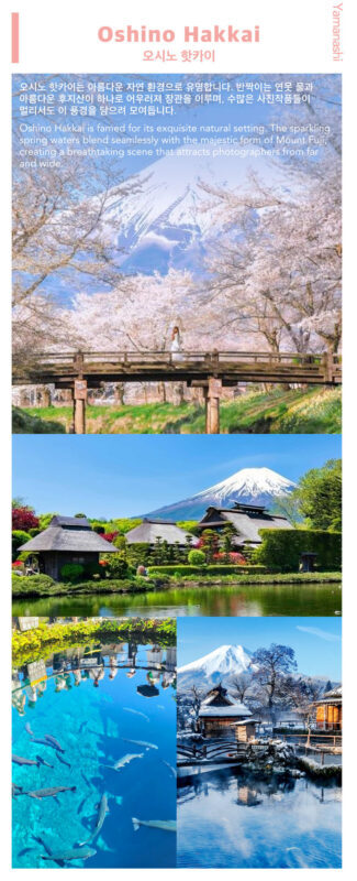 Mt. Fuji, Hakone Ropeway, Lake Ashi, Owakudani day tour - Timing, weather and a few practical cautions