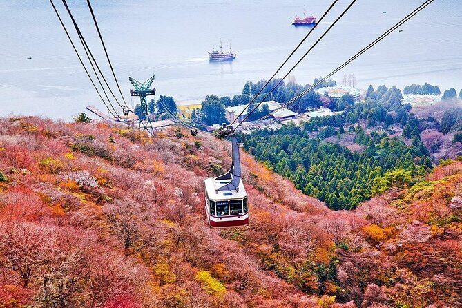 Mt. Fuji & Hakone Tour Lake Ashi, Owakudani & Ropeway Adventure - FAQ: Your Practical Questions Answered