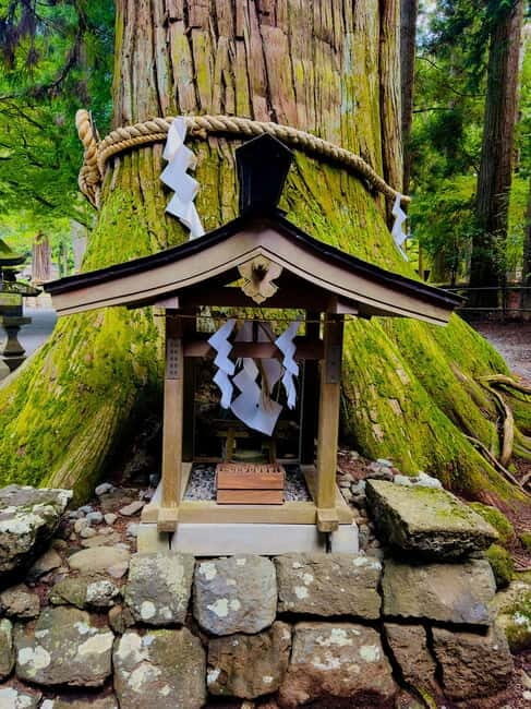 Mt. Fuji & Hakone VIP One Day Tour with pickup and drop off - Exploring the Highlights of the Tour