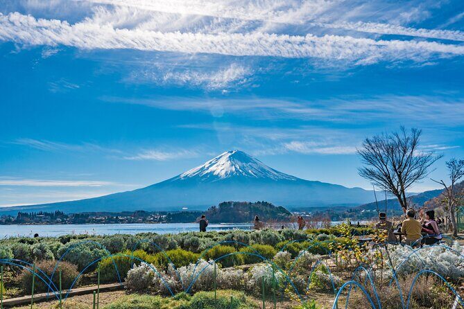 Mt. Fuji Highlight Photo Spots One Day Tour from Tokyo - What Real Travelers Say