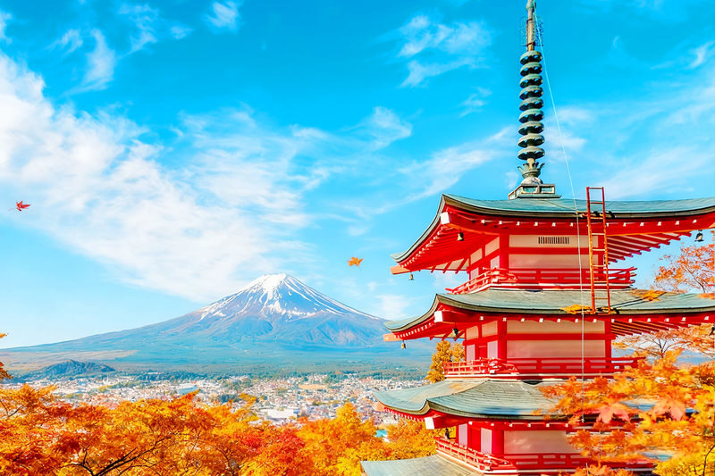 Mt. Fuji Highlights - Top 5 Scenic Spots Day Tour - Five photo stops, five different Fuji views
