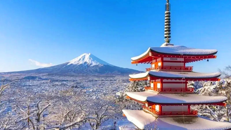 Mt. Fuji Highlights - Top 5 Scenic Spots Day Tour - A full Fuji day without the driving