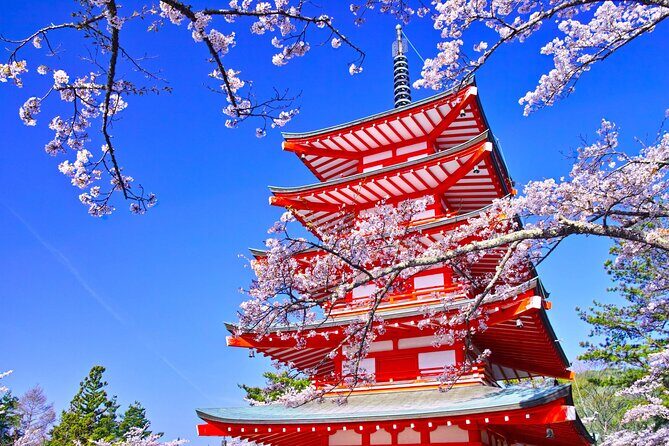 Mt. Fuji Hikawa Clock Shop Oshino Hakkai and Oishi Park Day Trip - Key Points