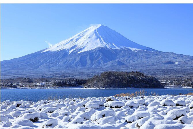 Mt. Fuji Hikawa Clock Shop Oshino Hakkai and Oishi Park Day Trip - Final Thoughts