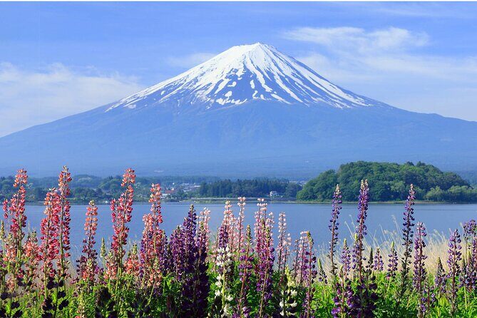 Mt. Fuji Hikawa Clock Shop Oshino Hakkai and Oishi Park Day Trip - FAQ