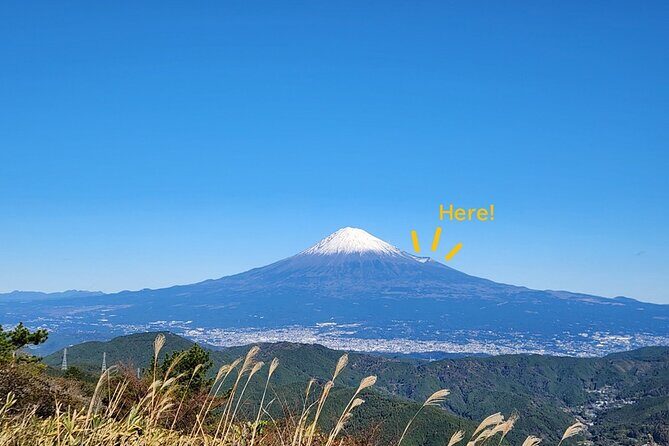 Mt. Fuji Hiking from Shimizu Port - Detailed Review of the Tour
