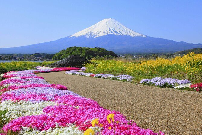 Mt. Fuji Instagram Spots Day Trip Oshino Hakkai Oishi Park & More - FAQ