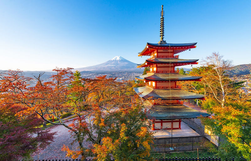 Mt. Fuji Instagram-Worthy Spots Day Tour: Ladder Town, Oshino Hakkai, Lake Kawaguchi, Lawson Convenience Store (Departing from Tokyo Station or Shinjuku Station) - Lunch: keep it simple and flexible