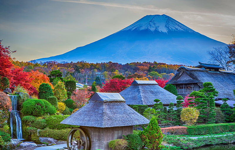 Mt. Fuji Instagram-Worthy Spots Day Tour: Ladder Town, Oshino Hakkai, Lake Kawaguchi, Lawson Convenience Store (Departing from Tokyo Station or Shinjuku Station) - Lake Kawaguchi: flowers, blossoms or autumn leaves