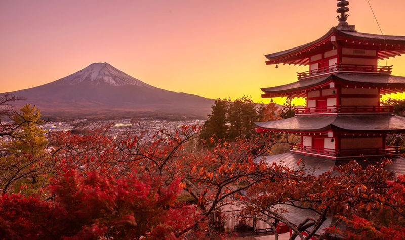 Mt. Fuji Internet-Famous Attractions Small Group Tour (Optional hotel pick-up and drop-off, departing from Tokyo) - What to know before you book