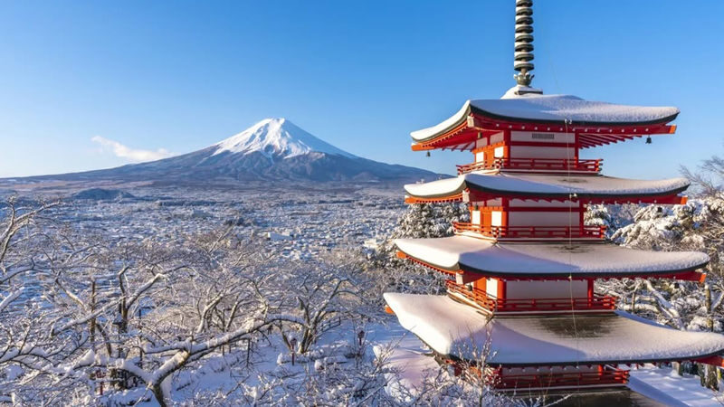 Mt. Fuji Internet-Famous Attractions Small Group Tour (Optional hotel pick-up and drop-off, departing from Tokyo) - A Tokyo departure, then a day built around Fuji