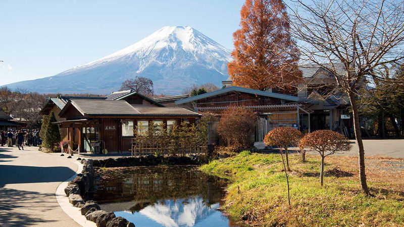 Mt. Fuji Internet-Famous Attractions Small Group Tour (Optional hotel pick-up and drop-off, departing from Tokyo) - The guide can shape the day