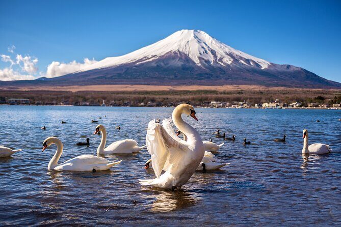 Mt Fuji Kawaguchi/Hakone/Yokohama Tokyo customize private car - Exploring Japan’s Iconic Landscapes with a Private Car Tour