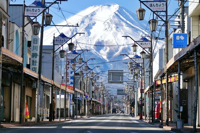 Mt Fuji Kawaguchi/Hakone/Yokohama Tokyo customize private car - The Sum Up: Who Is This Tour Best For?