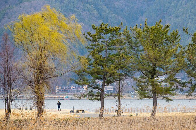 Mt. Fuji Kawaguchiko Earthquake Experience Museum Day Tour - Key Points