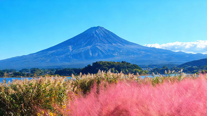 Mt. Fuji Kawaguchiko & Lake Yamanaka & Chureito Pagoda Small Group Day Tour (Optional Hotel Pick-up/Drop-off & Private Charter Available) - Small-Group Transport and the Price