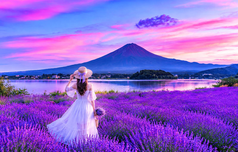 Mt. Fuji | Kawaguchiko Seasonal Limited-Time Views of Mt. Fuji & Lake Yamanaka Onsen/Cruise Day Trip | Departs from Tokyo/Shinjuku - Key points to know before you go