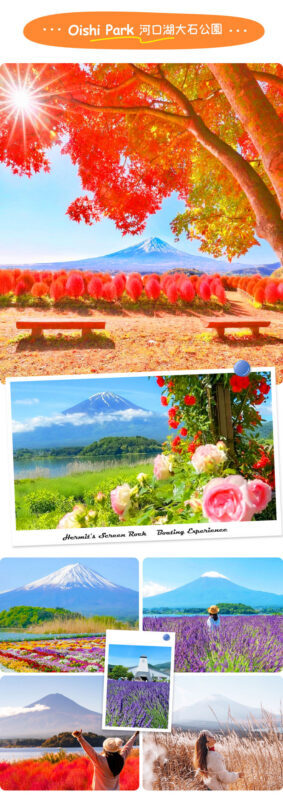 Mt. Fuji | Kawaguchiko Seasonal Limited-Time Views of Mt. Fuji & Lake Yamanaka Onsen/Cruise Day Trip | Departs from Tokyo/Shinjuku - Lake Yamanaka: boat ride or hot spring
