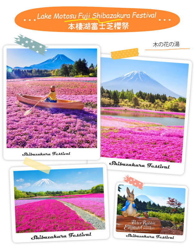 Mt. Fuji | Kawaguchiko Seasonal Limited-Time Views of Mt. Fuji & Lake Yamanaka Onsen/Cruise Day Trip | Departs from Tokyo/Shinjuku - Guides, language, and what your fare covers