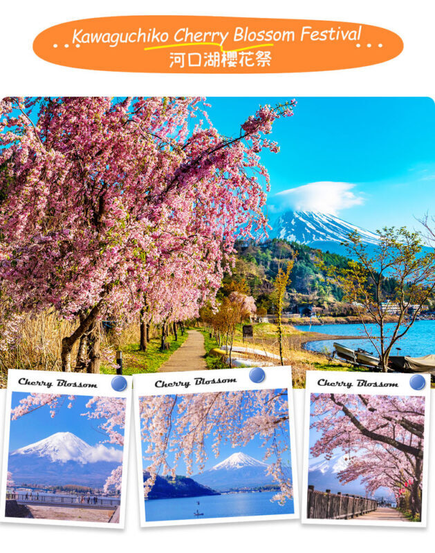 Mt. Fuji | Kawaguchiko Seasonal Limited-Time Views of Mt. Fuji & Lake Yamanaka Onsen/Cruise Day Trip | Departs from Tokyo/Shinjuku - Who will get the most from this day trip?