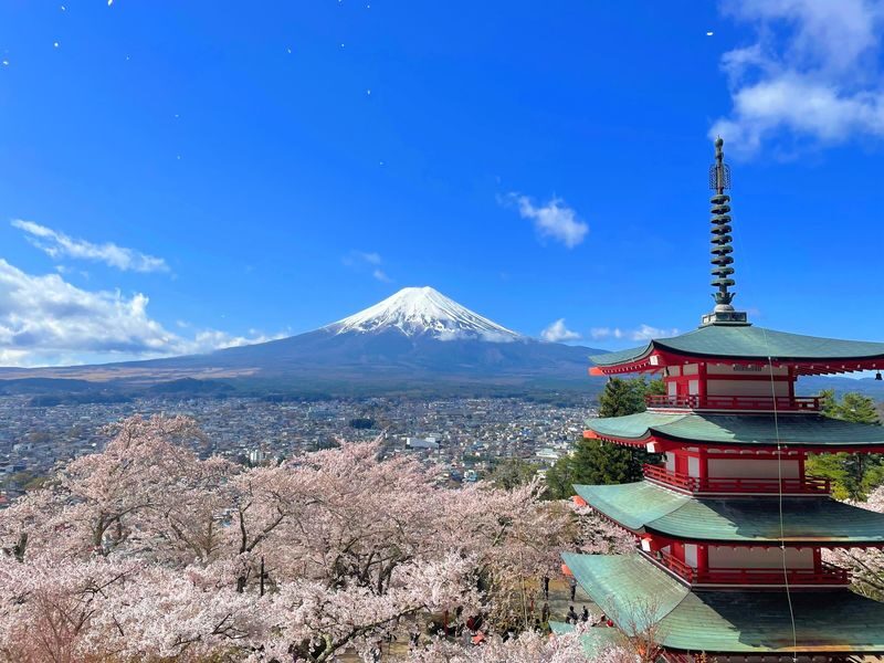 Mt. Fuji & Lake Cruise, handcraft noodles by Professional guide - A full day from Tokyo, with Fuji as the great variable