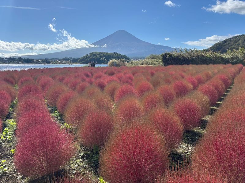 Mt. Fuji & Lake Cruise, handcraft noodles by Professional guide - Making hoto noodles, then sitting down to lunch