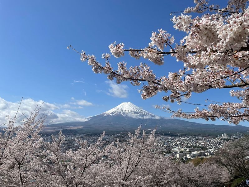 Mt. Fuji & Lake Cruise, handcraft noodles by Professional guide - Arakurayama Sengen Park and the Chureito Pagoda