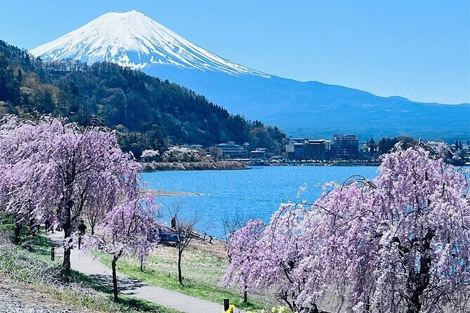 Mt Fuji Lake Kawaguchi and Yamanakako Onsen Tour from Tokyo - Key Points