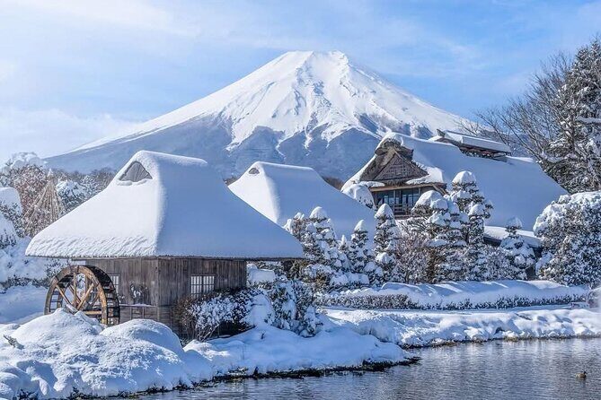 Mt Fuji & Lake Kawaguchi Private Day Trip from Tokyo - A Closer Look at the Tour