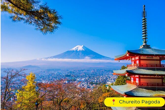 Mt Fuji & Lake Kawaguchi Private Day Trip from Tokyo - The Practicalities