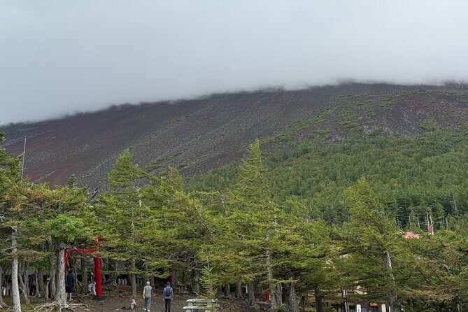 Mt. Fuji Luxury Getaway and Hakone Adventure by Private Car - A Detailed Itinerary: What to Expect