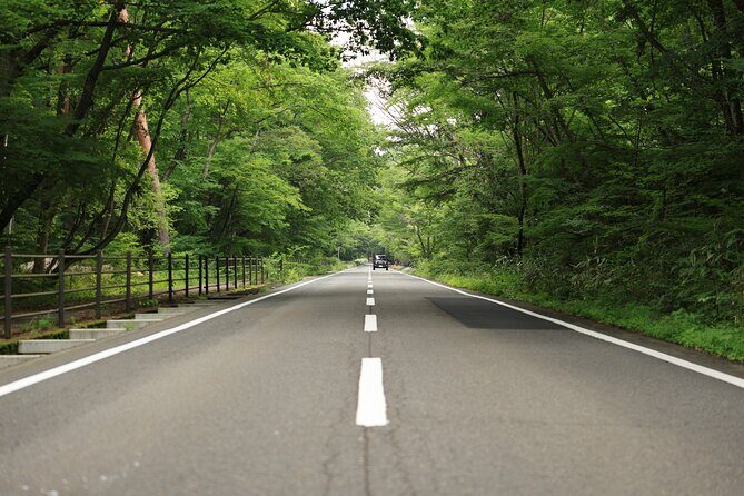 Mt. Fuji Luxury Getaway and Hakone Adventure by Private Car - Final Thoughts