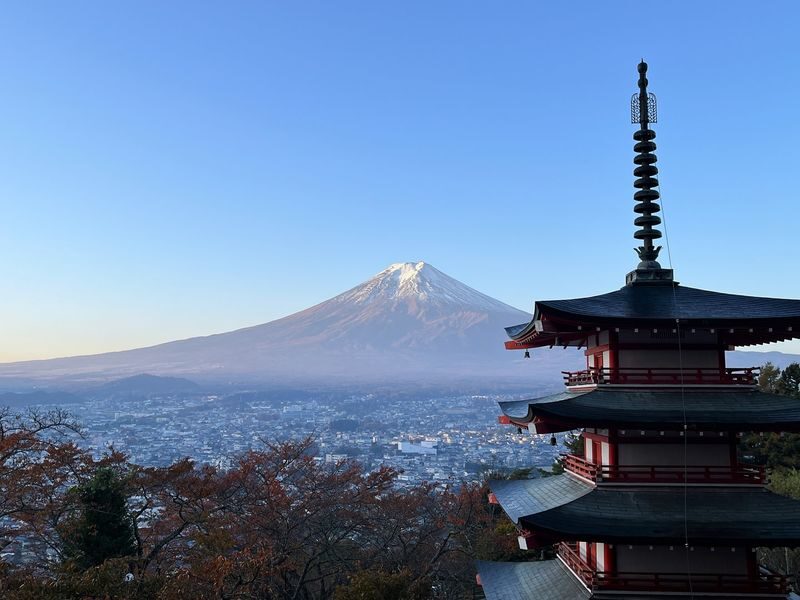 Mt. Fuji, Oishi Park & Arakurayama Pagoda Bus Tour with Lunch - A full day built around three Fuji views