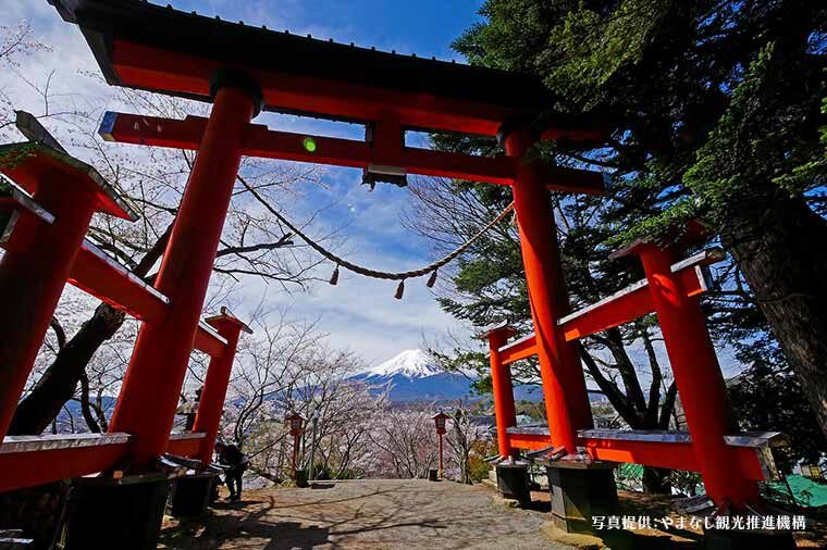 Mt. Fuji, Oishi Park & Arakurayama Pagoda Bus Tour with Lunch - Oishi Park: a short stop beside Lake Kawaguchi