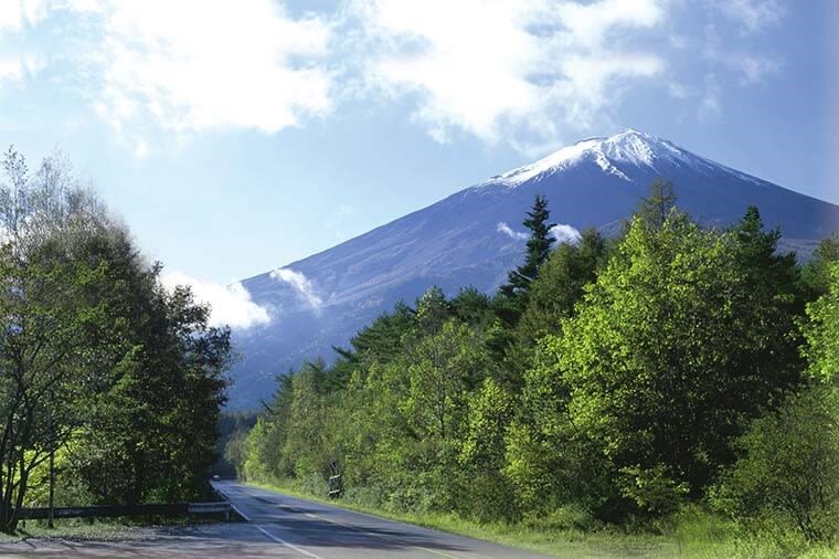 Mt. Fuji, Oishi Park & Arakurayama Pagoda Bus Tour with Lunch - What the $94.85 starting price buys you